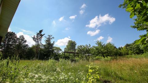 When The Sun Hits Just Right - worthit-97.JPG