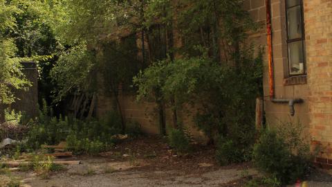 woodshop - IMG_1055.JPG