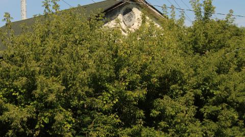 ABC Lumber - IMG_1083.JPG