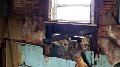 March 2023 - 20230325_201318.jpg