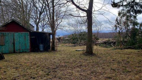 March 2023 - 20230325_190622.jpg