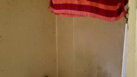 March 2023 - 20230325_190820.jpg