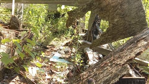 Summer Visit - 20230707_161342.jpg