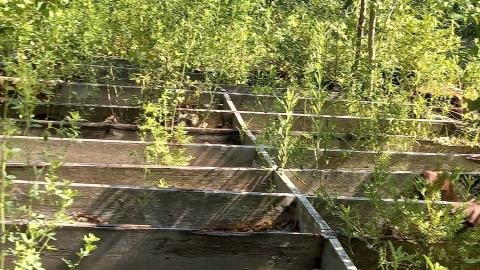 Summer Visit - 20230707_161402.jpg