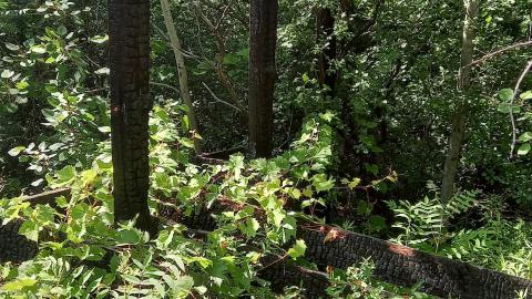 Summer Visit - 20230707_161430.jpg