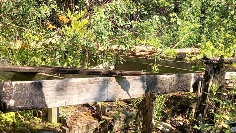 Summer Visit - 20230707_161500.jpg