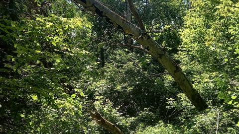 Summer Visit - 20230707_161130.jpg