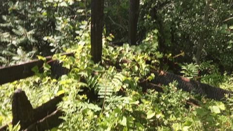 Summer Visit - 20230707_161428.jpg