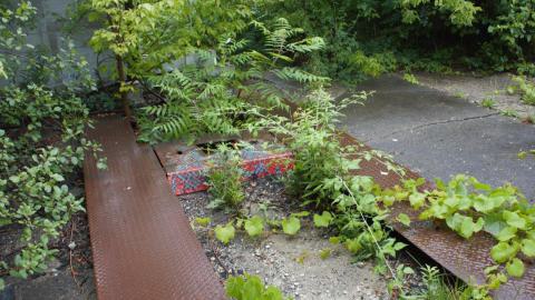 Car jack next to garage