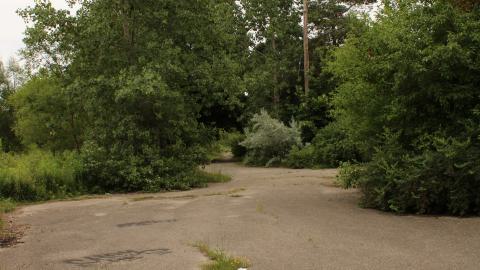 Photo from YCT water tower