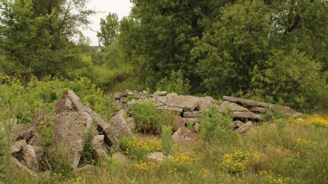 YCT water tower - IMG_1185.JPG
