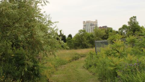 Photo from YCT water tower