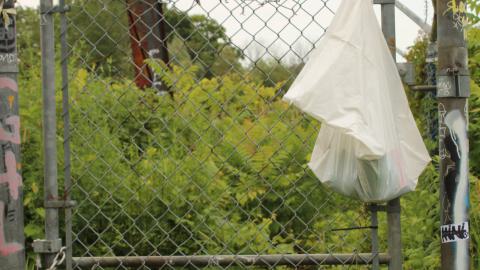 Photo from YCT water tower