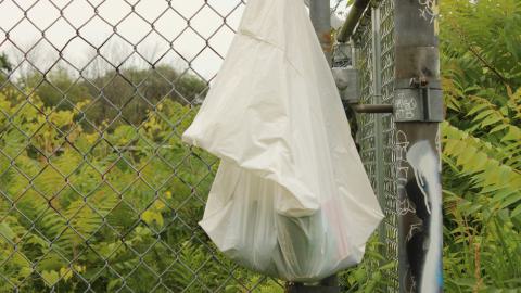 YCT water tower - IMG_1193.JPG