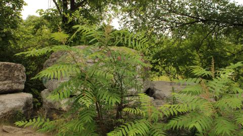 YCT water tower - IMG_1203.JPG