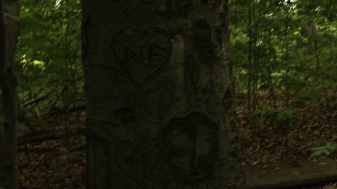 YCT water tower - IMG_1213.JPG