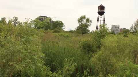 YCT water tower - IMG_1214.JPG