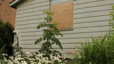 ghost neighborhood - IMG_1244.JPG