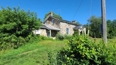 tossed me a stone - 20230710_094232.jpg