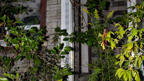 Night - 8/23/2019 - IMG_8125.JPG