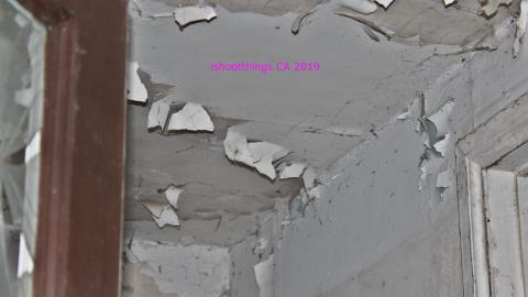 Night - 8/23/2019 - IMG_8126.JPG