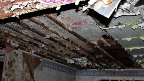 Night - 8/23/2019 - IMG_8135.JPG