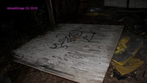 Night - 8/23/2019 - IMG_8170.JPG