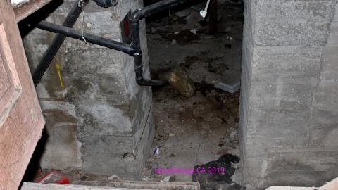 Night - 8/23/2019 - IMG_8177.JPG