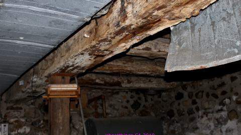 Night - 8/23/2019 - IMG_8192.JPG