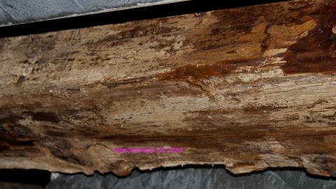 Night - 8/23/2019 - IMG_8193.JPG