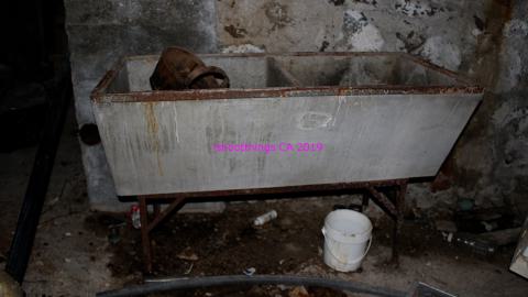 Night - 8/23/2019 - IMG_8198.JPG