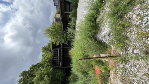 Abc lumber 2023 - 2.jpg