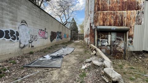 Graffiti galore (April 16 2023) - IMG_7456.jpeg