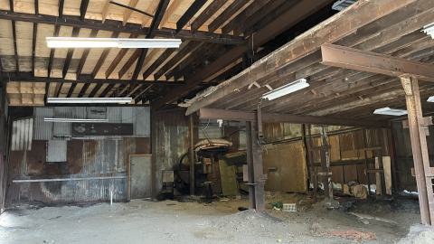 Graffiti galore (April 16 2023) - IMG_7453.jpeg