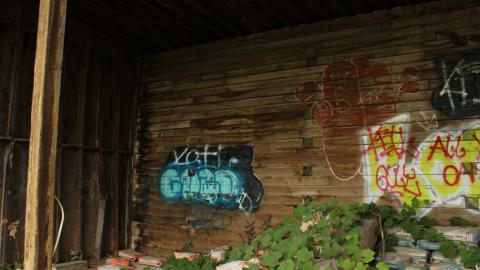 don't tango with the rango - IMG_1478.JPG