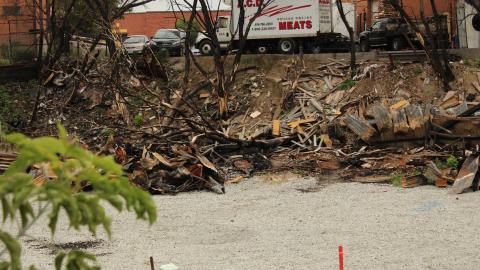 don't tango with the rango - IMG_1473.JPG