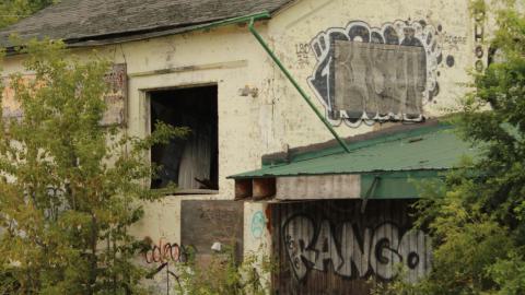 don't tango with the rango - IMG_1475.JPG