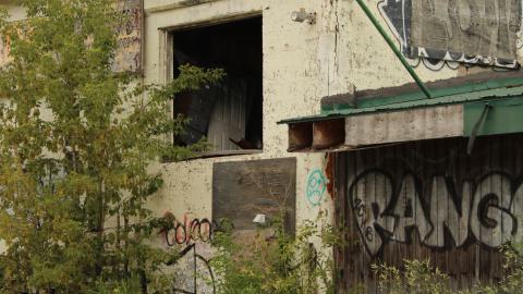 don't tango with the rango - IMG_1476.JPG