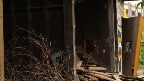 don't tango with the rango - IMG_1479.JPG