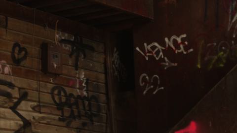 don't tango with the rango - IMG_1480.JPG