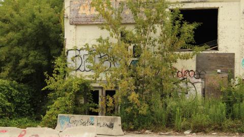 don't tango with the rango - IMG_1481.JPG