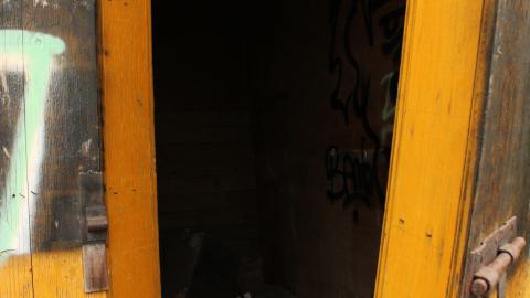 don't tango with the rango - IMG_1482.JPG