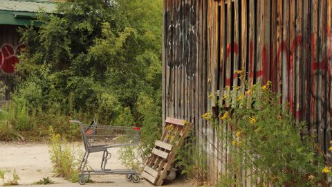 don't tango with the rango - IMG_1483.JPG