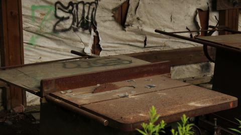 don't tango with the rango - IMG_1484.JPG