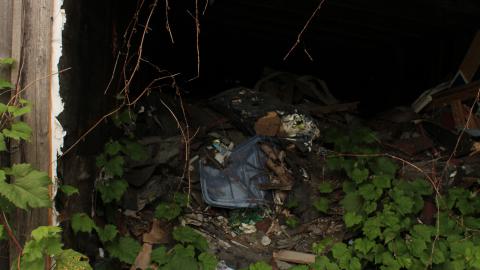 don't tango with the rango - IMG_1493.JPG