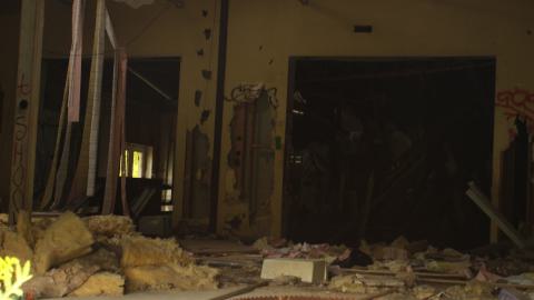 don't tango with the rango - IMG_1489.JPG