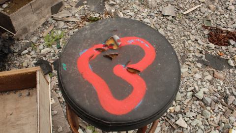 don't tango with the rango - IMG_1491.JPG