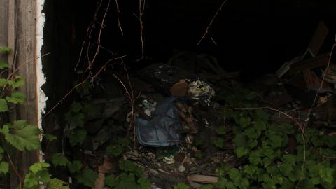 don't tango with the rango - IMG_1492.JPG