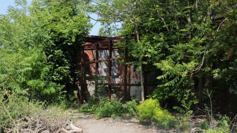 Beware of security - IMG_3811.JPG