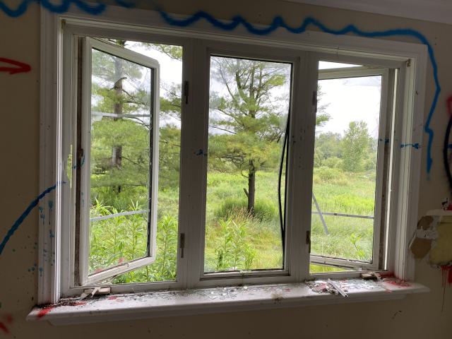 Rainy Sunday - IMG_6203.JPG